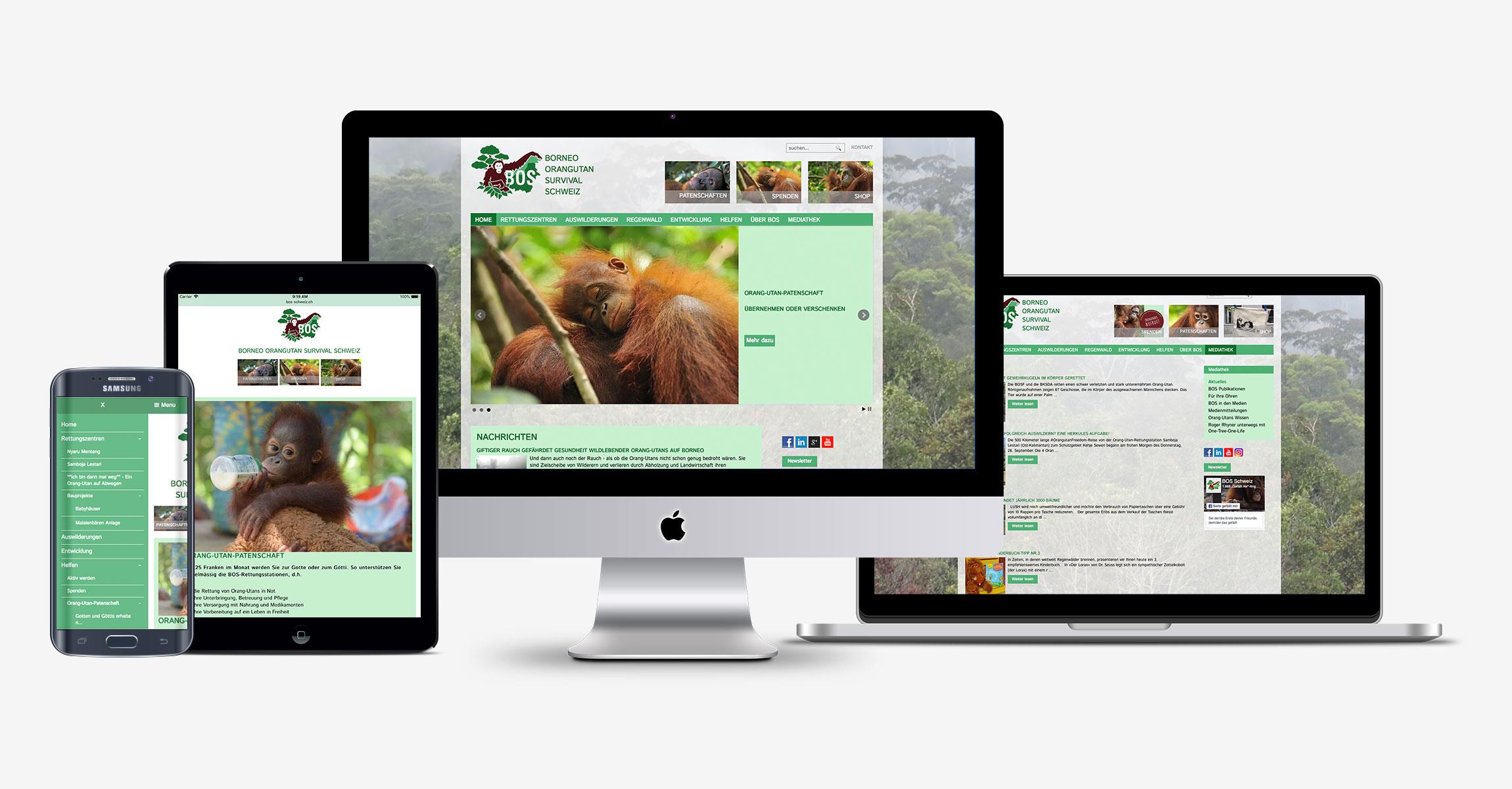 Website Borneo Orangutan Survival Schweiz